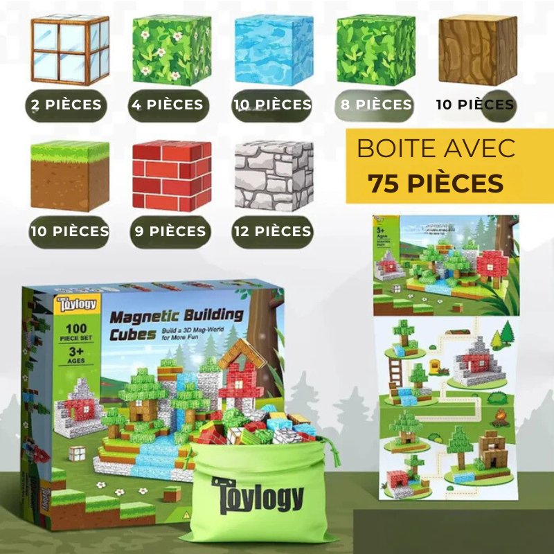 Blocs de construction magnétiques Minecraft® - 48 / 64 / 75 pièces